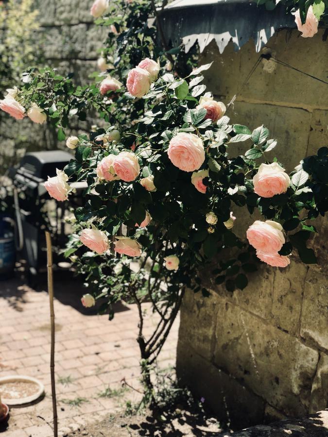 A La Fleur De Lys Bed and Breakfast Langeais Εξωτερικό φωτογραφία